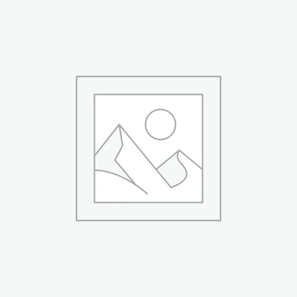 Les ceintures taille 1 XS/S-34/36